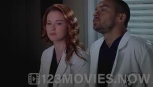 Grey’s Anatomy Season 9 Episode 19