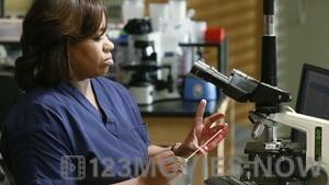 Grey’s Anatomy Season 9 Episode 22