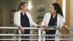 Grey’s Anatomy Season 9 Episode 23