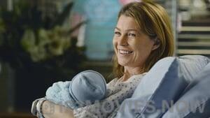 Grey’s Anatomy Season 9 Episode 24