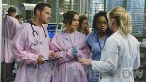 Grey’s Anatomy Season 9 Episode 24