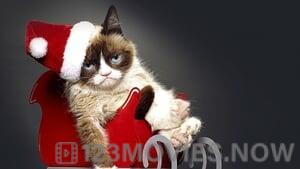 Grumpy Cat’s Worst Christmas Ever