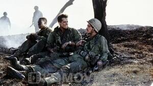 Hamburger Hill