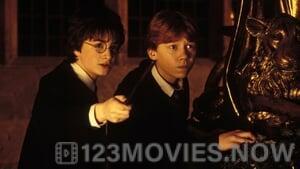 Harry Potter and the Chamber of Secrets