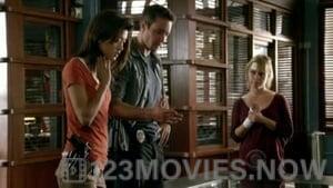 Hawaii Five-0 Season 1 Episode 13