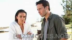 Hawaii Five-0 Season 1 Episode 22