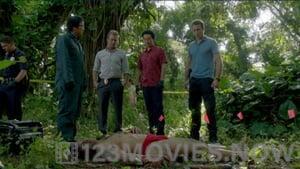 Hawaii Five-0 Season 2 Episode 17