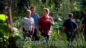 Hawaii Five-0 Season 2 Episode 17