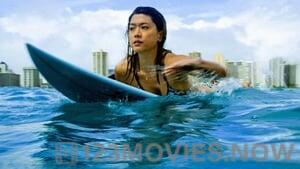 Hawaii Five-0 Season 5 Episode 3