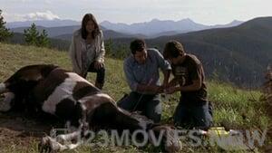 Heartland Season 3 Episode 9