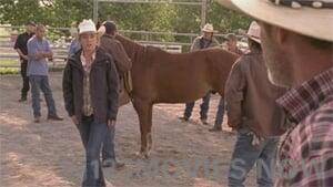 Heartland Season 4 Episode 8