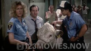 Hill Street Blues Season 3 Episode 2