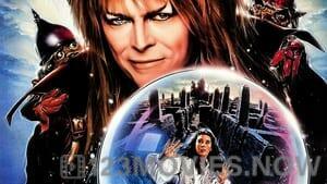 Labyrinth