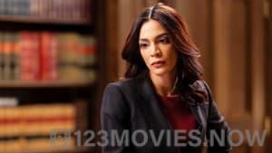 Law & Order Season 22 Episode 10