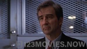 Law & Order Season 8 Episode 14