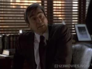 Law & Order Season 9 Episode 24