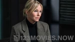 Law & Order: Special Victims Unit Season 24 Episode 22