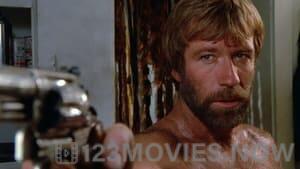 Lone Wolf McQuade