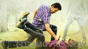 Maharshi