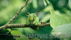 Minuscule 2: Mandibles From Far Away