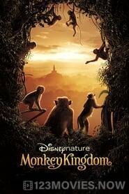 Monkey Kingdom