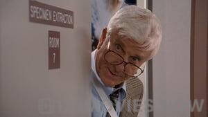 Naked Gun 33 1/3: The Final Insult