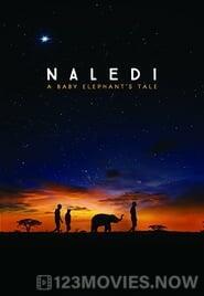 Naledi: A Baby Elephant’s Tale