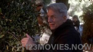 NCIS Season 11 Episode 12