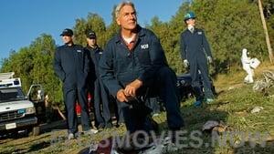 NCIS Season 9 Episode 8