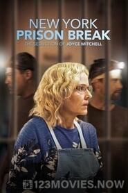 New York Prison Break the Seduction of Joyce Mitchell