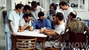 One Flew Over the Cuckoo’s Nest