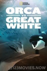 Orca Vs Great White