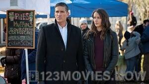 Person of Interest Season 4 Episode 13