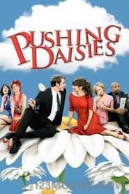 Pushing Daisies Season 1 Episode 1