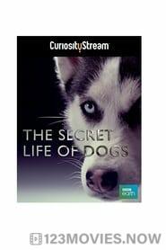 Secret Life of Dogs