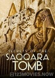 Secrets of the Saqqara Tomb