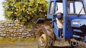 Shaun the Sheep Season 1 Episode 35