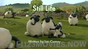 Shaun the Sheep Season 1 Episode 6