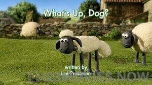 Shaun the Sheep Season 2 Episode 22