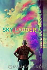 Sky Ladder: The Art of Cai Guo-Qiang