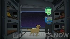 Star Trek: Lower Decks Season 1 Episode 7