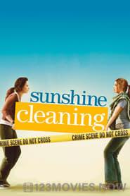 Sunshine Cleaning