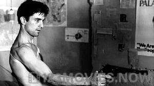 Taxi Driver