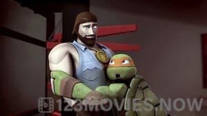 Teenage Mutant Ninja Turtles Season 1 Episode 4