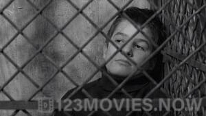 The 400 Blows