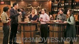 The Big Bang Theory Season 9 Episode 22