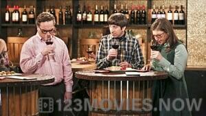 The Big Bang Theory Season 9 Episode 22