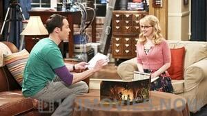 The Big Bang Theory Season 9 Episode 22