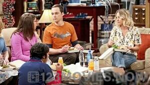 The Big Bang Theory Season 9 Episode 22