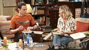 The Big Bang Theory Season 9 Episode 22